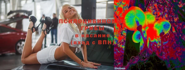 МДПВ Алзамай
