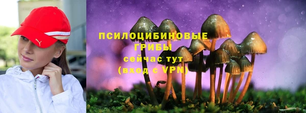 2c-b Алексеевка