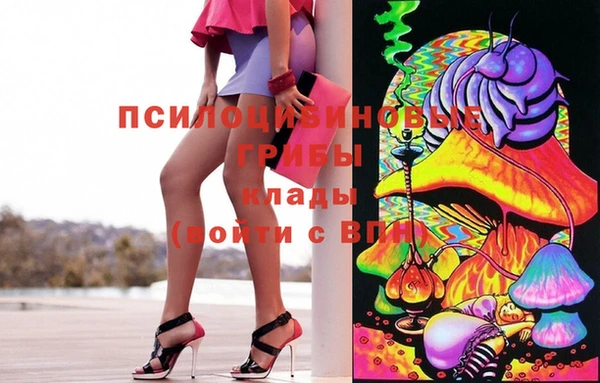 твердый Алексин