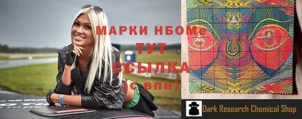 МДПВ Алзамай