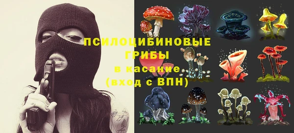 твердый Алексин