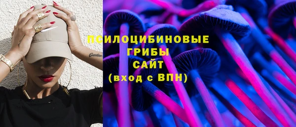 твердый Алексин