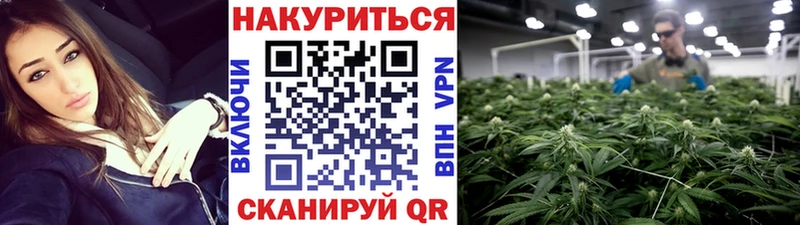 Марихуана конопля  где купить наркоту  ссылка на мегу сайт  Рошаль 
